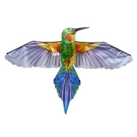 Drak - fialový kolibřík