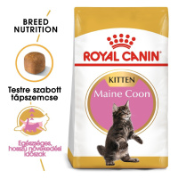 Royal Canin Maine Coon Kitten - granule pro koťata mainských mývalích koček 400 g