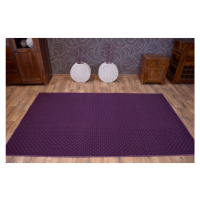 Dywany Lusczow Kusový koberec AKTUA Mateio fialový