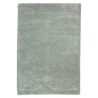 Světle zelený koberec 80x150 cm Sierra – Think Rugs