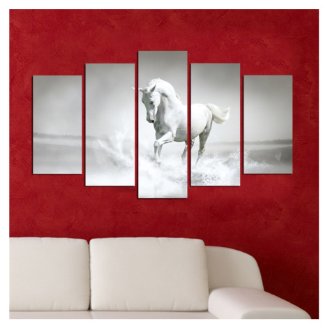 Hanah Home Vícedílný obraz White Horse 110x60 cm