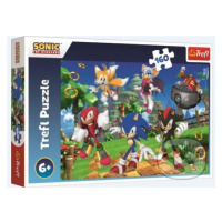 Sonic a priatelia/Sonic The Hedgehog - puzzle z kategorie 60 - 300 dílků