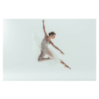 Fotografie beautiful ballet dancer in white dress, LightFieldStudios, (40 x 26.7 cm)