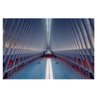 Fotografie Metro Station New York, Hernan Calderon Velasco, 40 × 26.7 cm