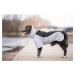 Vsepropejska Plex zimní bunda pro psa Barva: Černá, Délka zad (cm): 52, Obvod hrudníku: 58 - 62 