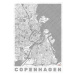 Mapa Copenhagen, Hubert Roguski, (30 x 40 cm)