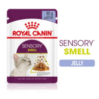 Royal Canin Sensory Smell - vlhké krmivo v želé pro dospělé kočky 12 x 85 g