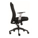 Alba CR LEXA - Alba CR kancelářská židle - černá