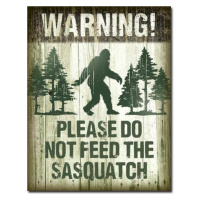 Plechová cedule Sasquatch - Dont Feed, 30x42 cm