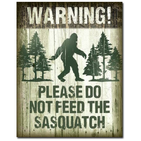 Plechová cedule Sasquatch - Dont Feed, (30 x 42 cm)