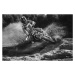 Ilustrace Motocross Black And White, Attilla Szabo, 40 × 26.7 cm