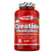 Amix Nutrition Creatine Monohydrate 750mg - 500 kapslí