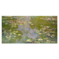 Obrazová reprodukce Water Lilies (1919), Claude Monet, 40 × 20 cm