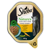 Sheba Nature's Collection v omáčce 22 x 85 g - s krocaním