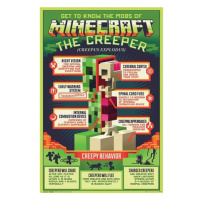 Plakát Minecraft - Anatomie Creepera