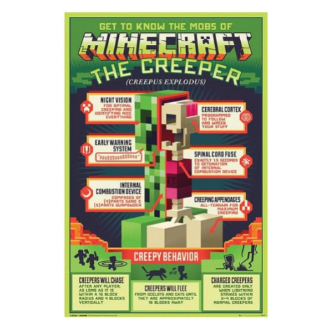 Plakát Minecraft - Anatomie Creepera GB Eye