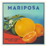 Obrazová reprodukce Mariposa Brand Citrus, Florida Crate Labels, 40 × 40 cm