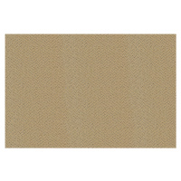 Balta koberce Metrážový koberec Fortesse SDE New 138, zátěžový - S obšitím cm