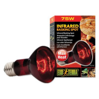 Žárovka Exo Terra Infrared Basking Spot 75W