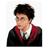 Zuty Malování podle čísel Portrét Harryho Pottera