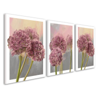 Obraz na plátně GARLIC FLOWER C set 3 kusy různé rozměry Ludesign ludesign obrazy: 3x 50x70 cm