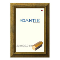 DANTIK rámeček 20 × 30, Forgia Gold sklo čiré