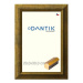 DANTIK rámeček 20 × 30, Forgia Gold sklo čiré