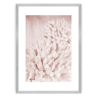 Dekoria Plakát Pastel Pink II, 30 x 40 cm, Zvolit rámek: Stříbrný