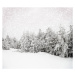 Ilustrace Beautiful winter landscape with snow covered trees, viperagp, 40 × 35.5 cm