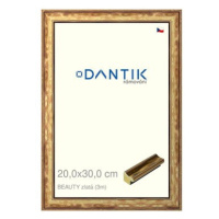 DANTIK rámeček 20 × 30, BEAUTY zlatý sklo čiré