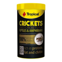 Tropical Crickets 100ml/10g sušených cvrčků pro plazy