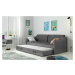 BMS Dětská postel s přistýlkou DAWID | šedá 90 x 200 cm Barva: Modrá