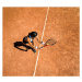 Fotografie Woman tennis player about to hit a serve, Nisian Hughes, (40 x 35 cm)