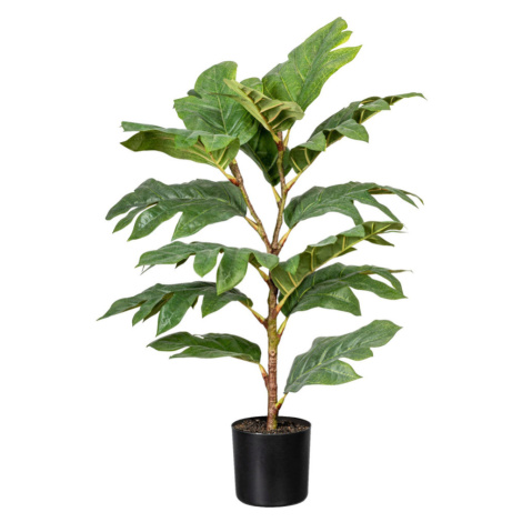 Umělá Rostlina Artocarpus I Möbelix