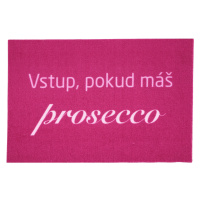 Rohožka Vstup pokud máš Prosecco 40x60 cm 40x60 cm