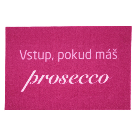 Rohožka Vstup pokud máš Prosecco 40x60 cm 40x60 cm