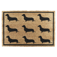 Rohožka z kokosového vlákna 40x60 cm Dachshund – Artsy Doormats