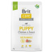 Krmivo Brit Care Dog Sustainable Puppy Chicken & Insoct 3kg