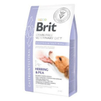 Brit Veterinary Brit VD Dog GF Gastrointestinal 2kg