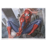 Obraz na plátně Spider-Man - In Action, 2 cm - 80×60 cm