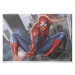 Obraz na plátně Spider-Man - In Action, 2 cm - 80×60 cm