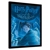 Obraz na zeď - Harry Potter - Fénixům Řád