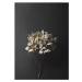 Paper Collective designové moderní obrazy Still Life 04 - Hydrangea (120 x 168 cm)