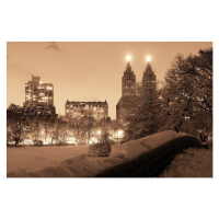 Fotografie Central Park winter, rabbit75_ist, 40 × 26.7 cm