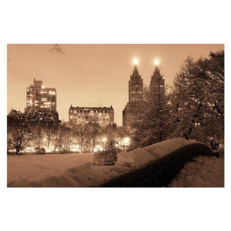 Fotografie Central Park winter, rabbit75_ist, 40 × 26.7 cm