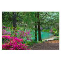 Fotografie Spring FLowers -and Lake view--Gibson County, William Reagan, (40 x 26.7 cm)