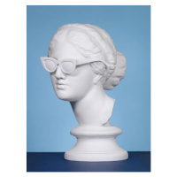 Fotografie Plaster head wearing sunglasses, lambada, 30 × 40 cm