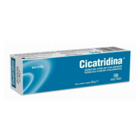 CICATRIDINA Mast 30 g