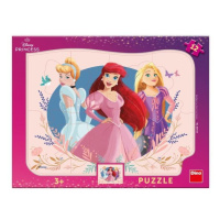 Puzzle deskové Princezny 12 dílků