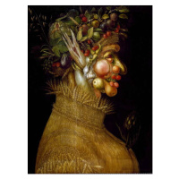 Obrazová reprodukce Summer, Arcimboldo, Giuseppe, 30 × 40 cm